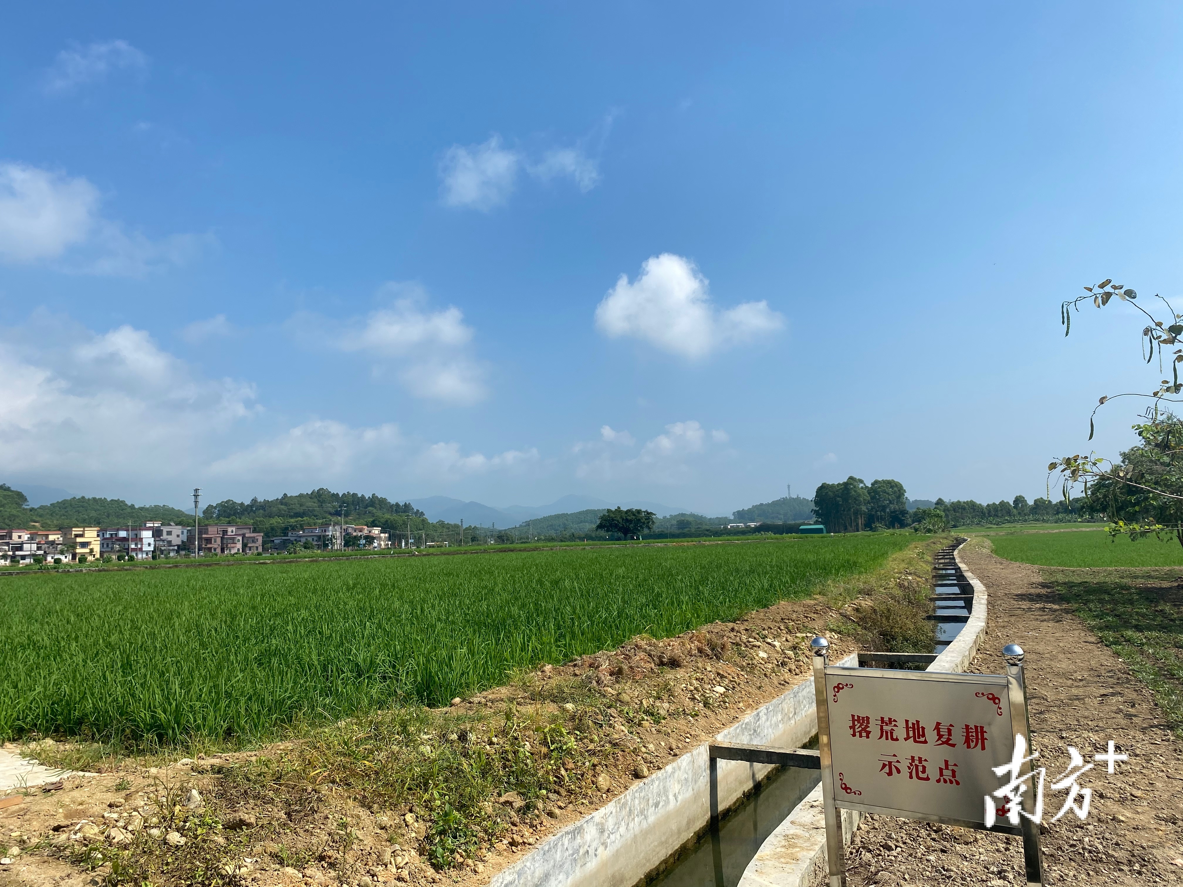 蕉园村撂荒地复耕示范点。黄烨倩 摄 蕉园村撂荒地复耕示范点。黄烨倩 摄