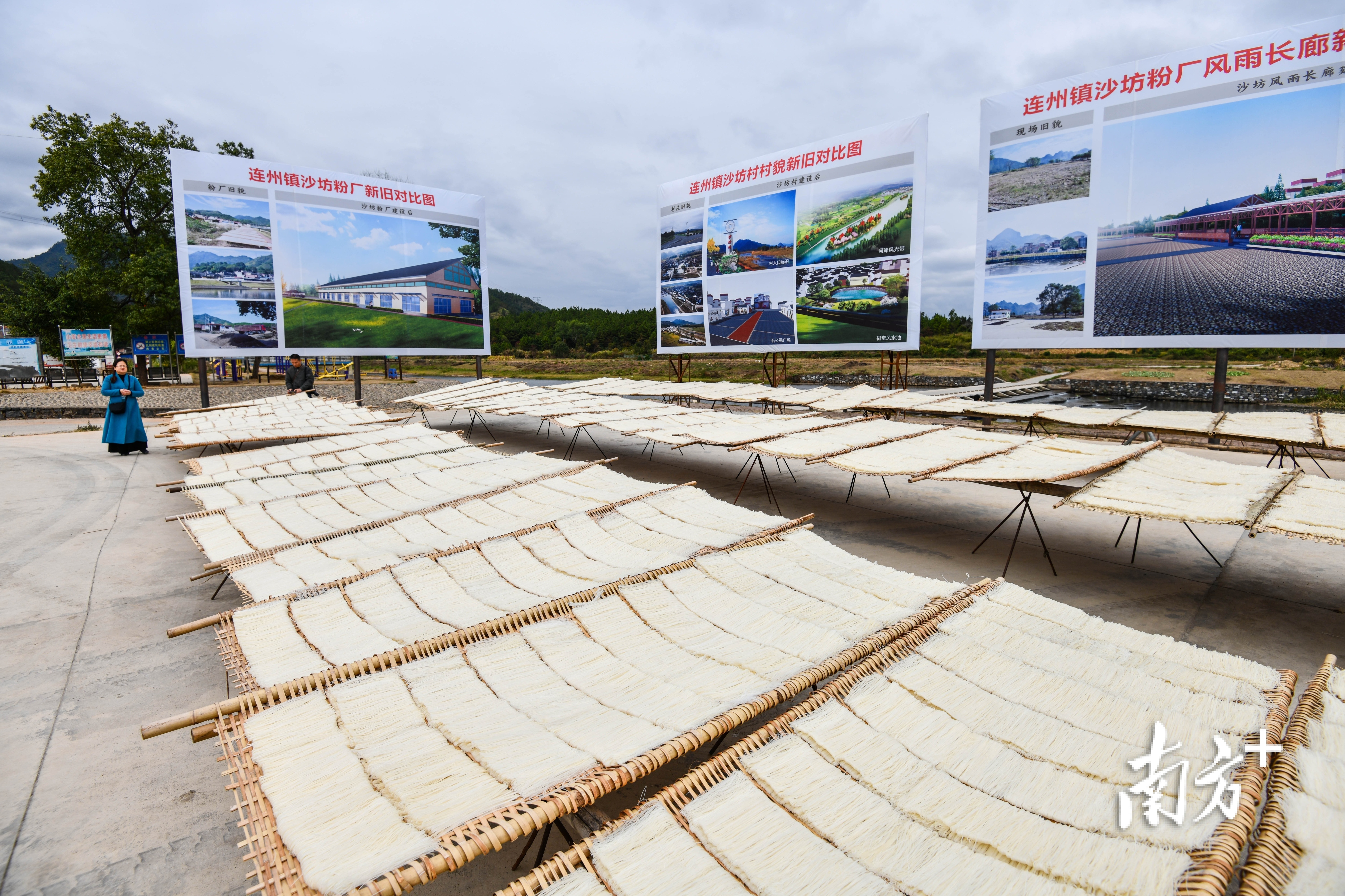 连州沙坊粉。曾亮超 摄