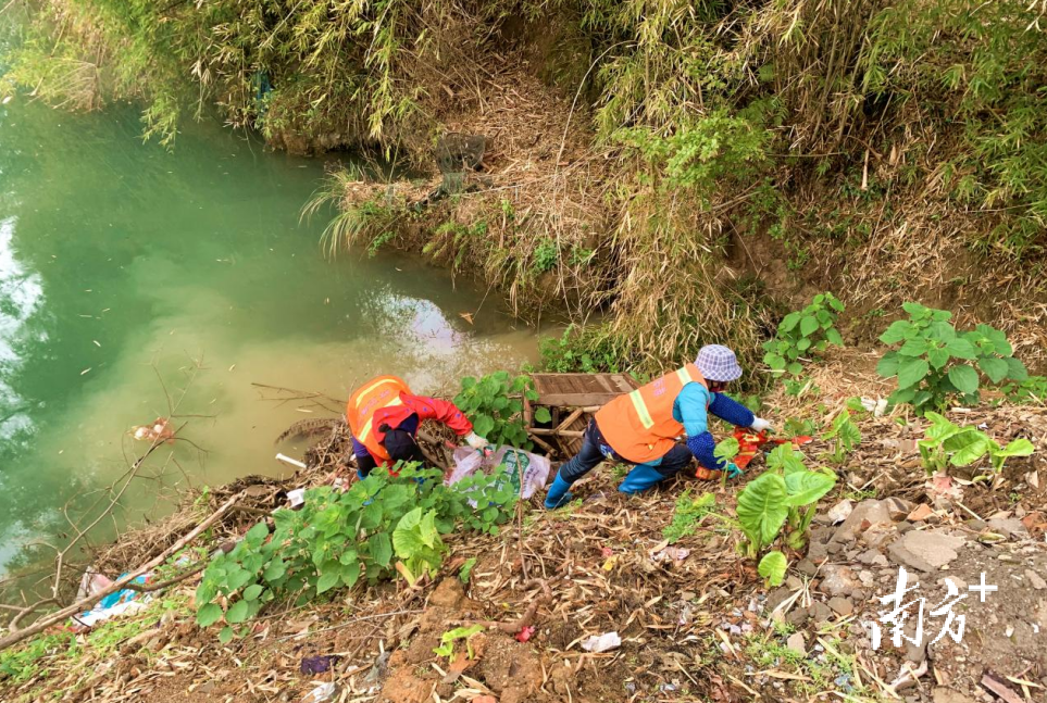 河道保洁人员清理河道周边垃圾和杂草.