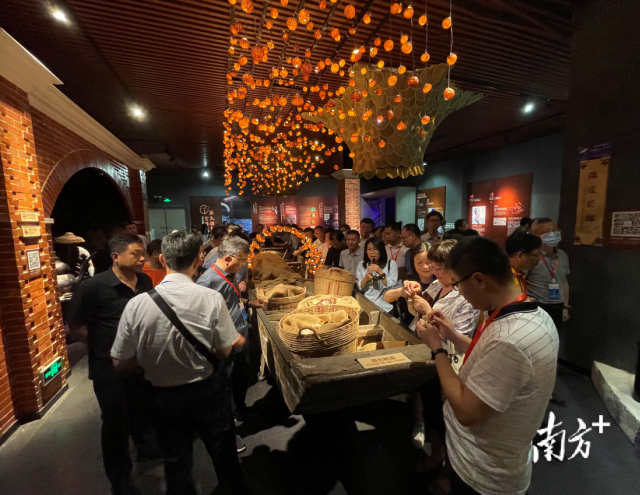 全面深化供销合作社综合改革专题研究班学员调研新会陈皮村。