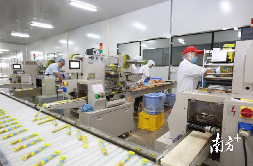 潮州外贸企业优化产品结构，引进先进自动化装备提升产品安全和质量。纪金娜 摄