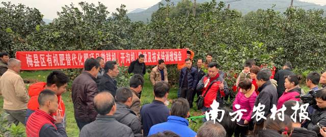 梅县区有机肥替代化肥项目培训现场会