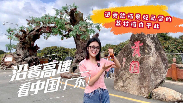 沿着高速看中国(广东)：梦回唐朝年间的荔枝园，杨贵妃吃了都说好！