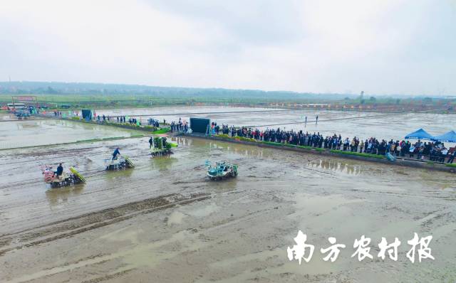 广东共推广水稻侧深施肥面积17万亩