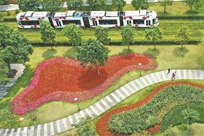 广州阅江中路的碧道旁鲜花盛开，有轨电车从一侧驶过。