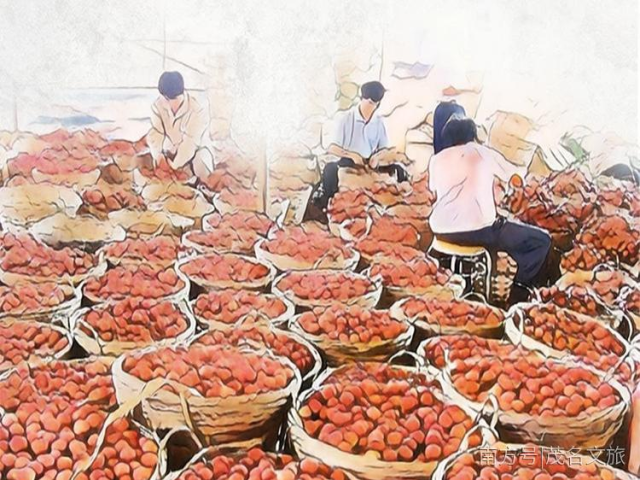 茂名荔枝年产量约60万吨!名副其实的小康生活“引领者”