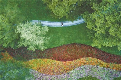 增江绿道将山、水、村、田园等生态要素串联起来。