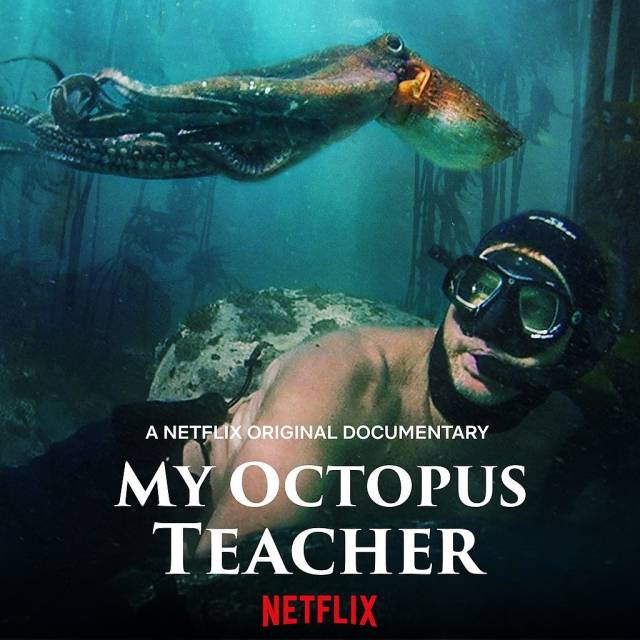 ҵʦ