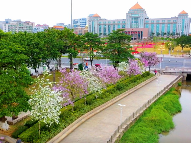 广州花都:小康生活新“花”样