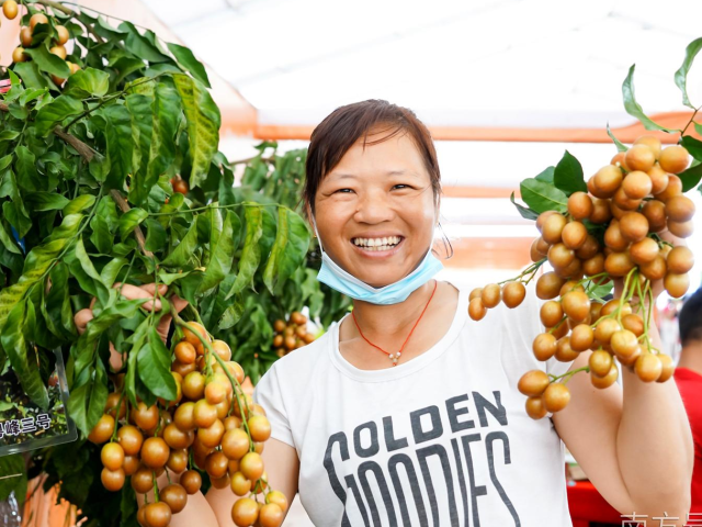 果乡飞出甜蜜歌