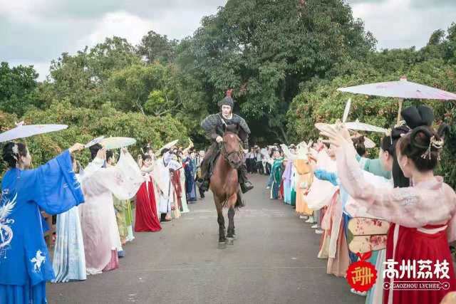 根子贡园再现高州荔枝进长安场景