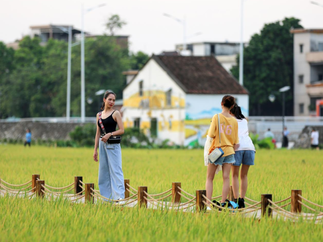 东莞茶山:生态田园 美丽乡村