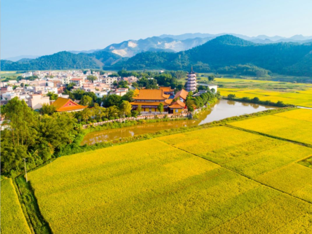 肇庆乡村生活图鉴