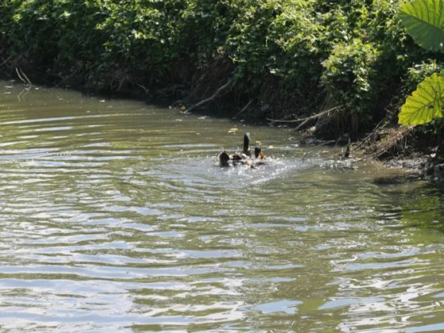 服务保障乡村振兴,提升乡村宜居水平