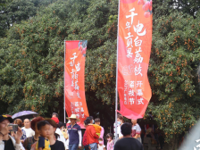 ​深挖文化创品牌，电白打响荔枝“12221”市场营销战|5个关键词看电白荔枝①