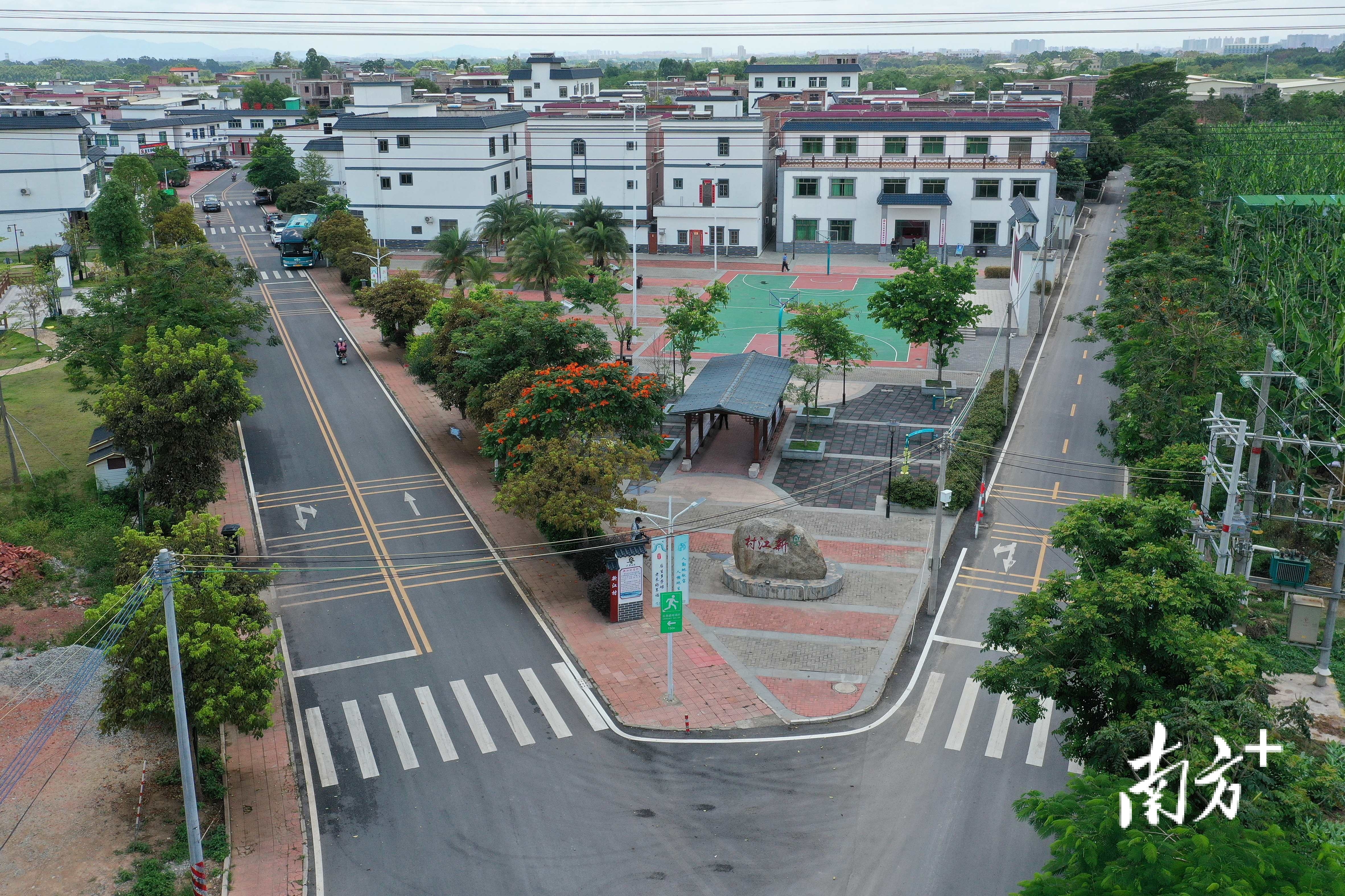 新江村宽阔的村道均铺上了平整的沥青路 南方日报记者 梁维春 摄