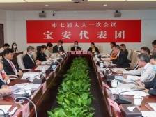 代表说| 李南青：深圳要打造科技金融深度融合高地