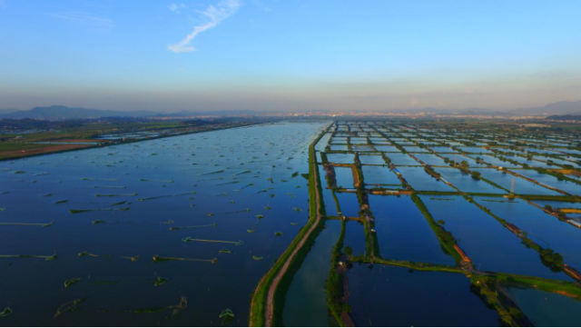 惠州潼湖湿地风景优美.