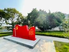 走！相约“革命树”，重温红色史