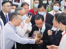 新会陈皮在中国茶博会上“先声夺人”