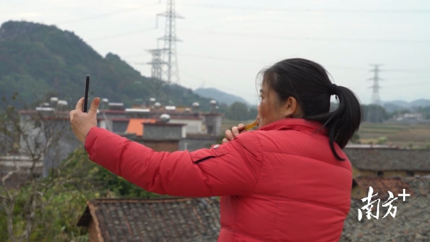 在为村里番薯干直播中的丘凤珍。