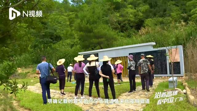 沿着高速看中国（广东）：打卡十二肩岭古驿道，闹市中的世外桃源