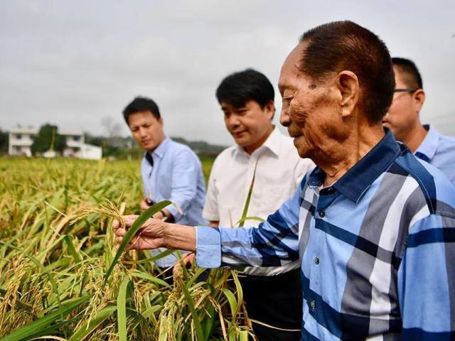 逝者|袁隆平:希望农民从土地上彻底解脱出来
