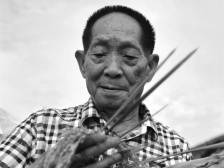 袁隆平今日在长沙逝世，他的毕生梦想就是消除饥饿