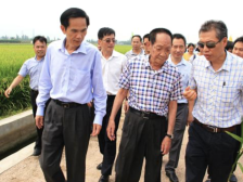 广东首个袁隆平院士工作站在江门，其超级稻产量喜人
