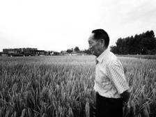 袁隆平：一位人民英雄的一生