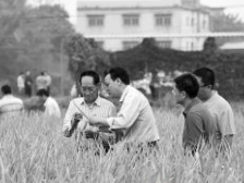 袁隆平在南粤二三小事