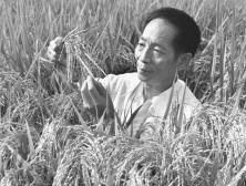 “我中午有乖乖把饭吃完”，网友送别袁隆平，条条留言催人泪下