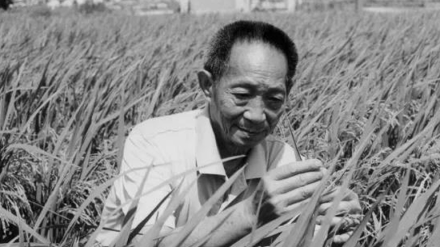 禾下乘凉梦，送别袁隆平