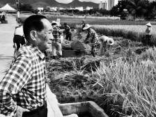 一图看袁隆平一生贡献，记住感动世界的十个瞬间