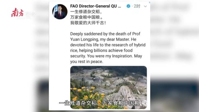多个重要国际组织悼念袁隆平，联合国：“国士无双，一路走好！