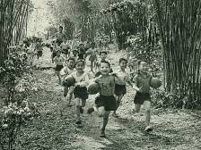 一百年前广东仔摘下柚子当足球练，踢出一个“世界球王”