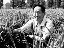 政协委员建议：将袁隆平逝世日设为“全国节约粮食日”