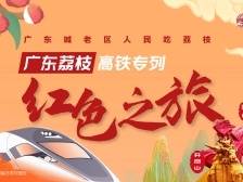 广东荔枝红色之旅高铁专列首发！广东请老区人民吃荔枝
