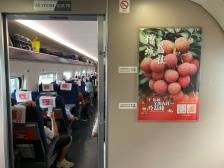 增城荔枝“坐上”高铁专列，开启革命老区红色之旅