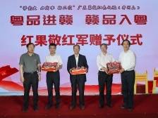 广东荔枝致敬井冈山红军