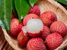 广东荔枝甜蜜来袭！来苏宁现场品鉴