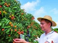 一文速览《南方日报·高州视窗》第13期