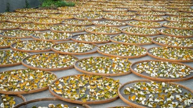 非遗故事大会⑤｜“广东三宝”之首从何而来？非遗少年为你探秘新会陈皮