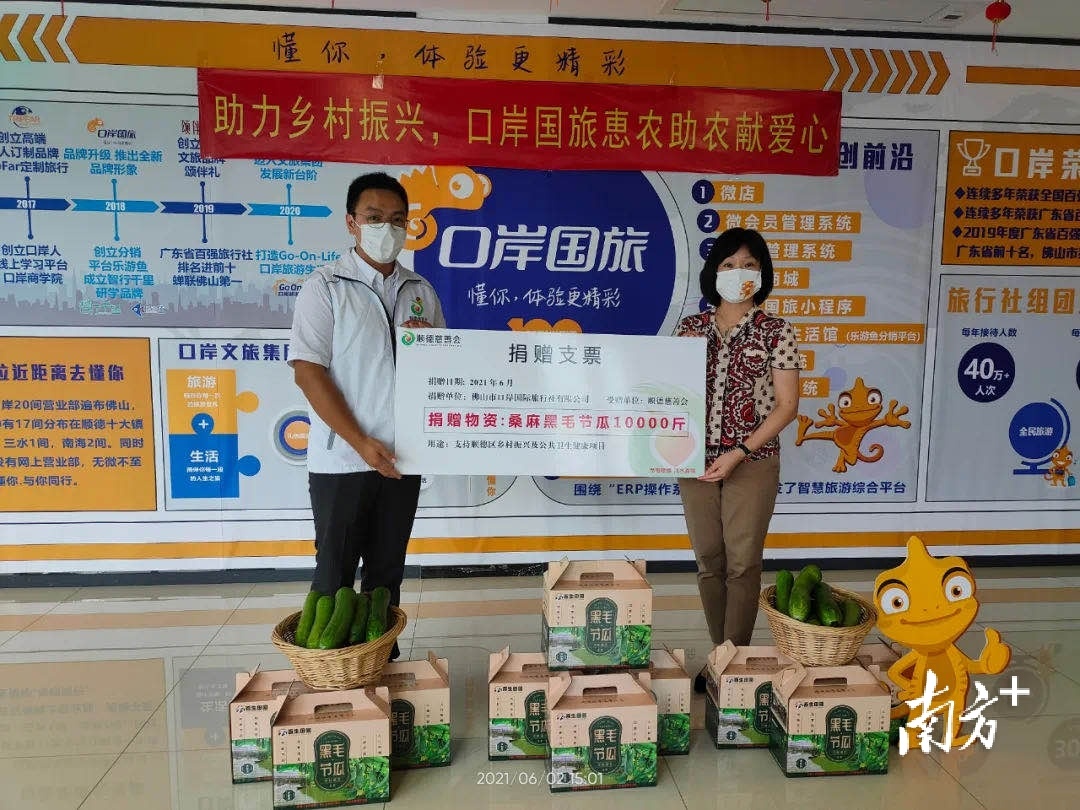 佛山市口岸国际旅行社有限公司总经理陈佩芳向顺德区慈善会捐赠了10000斤桑麻黑毛节瓜。胡嘉敏摄