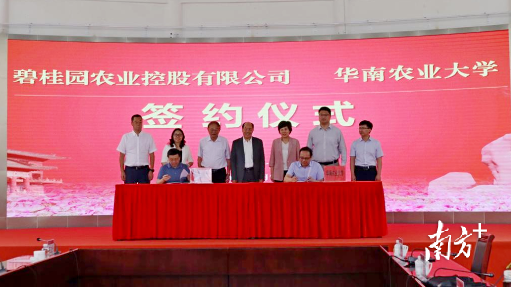 签约仪式现场。 签约仪式现场。