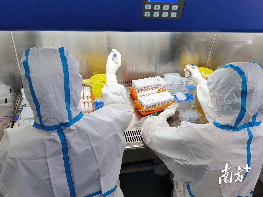 佛山迪安员工进行核酸检测中。罗湛贤摄 佛山迪安员工进行核酸检测中。罗湛贤摄