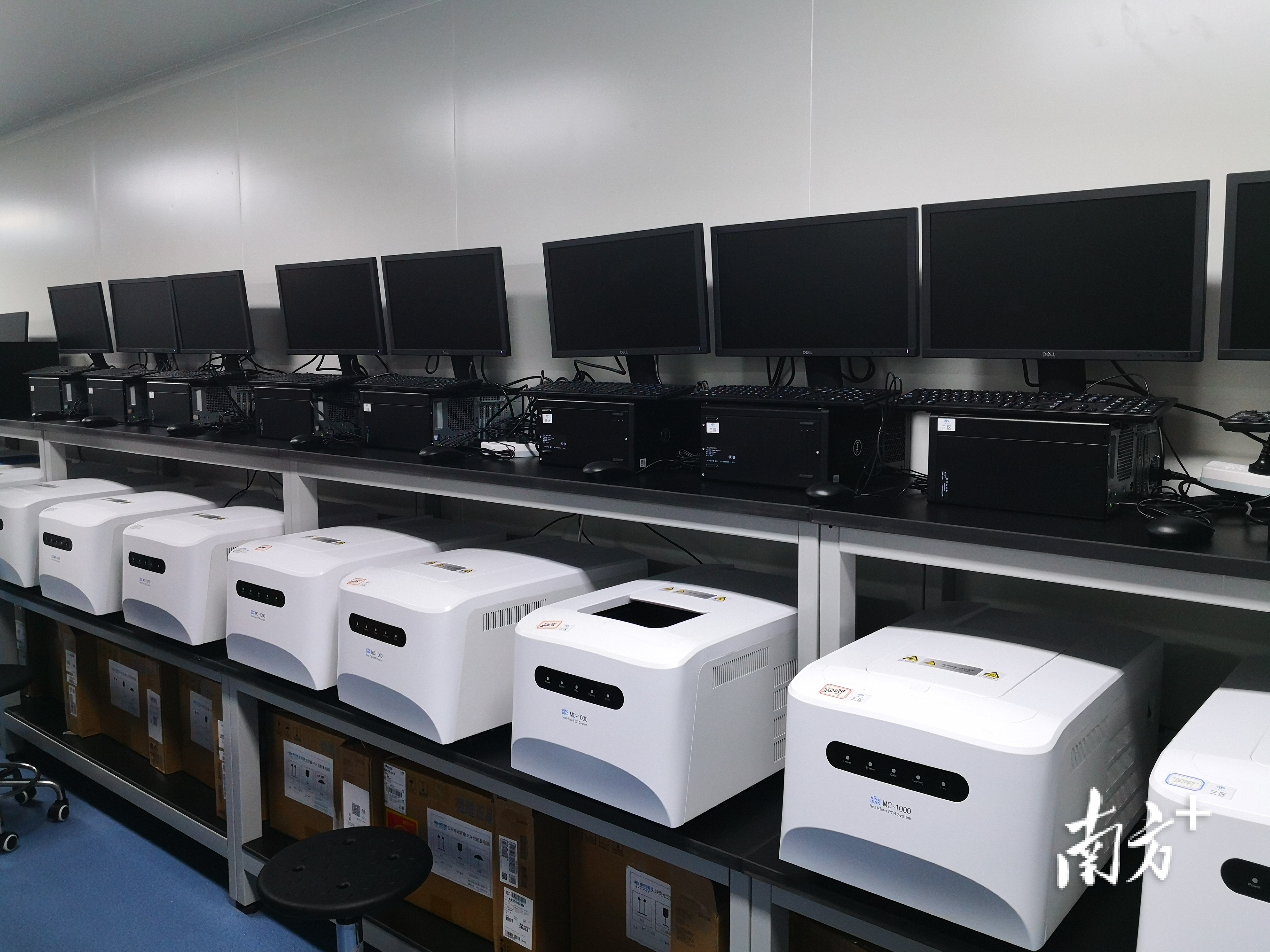 为应对此次大筛查,佛山迪安紧急调配了大量设备确保完成检测任务。罗湛贤摄 为应对此次大筛查,佛山迪安紧急调配了大量设备确保完成检测任务。罗湛贤摄