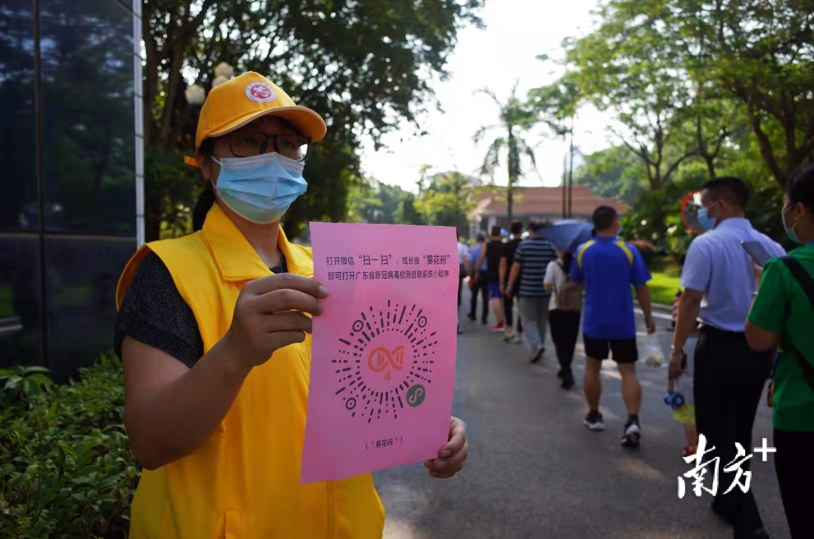 三水志愿者到各采样点开展志愿服务，帮助群众有序进行核酸检测。 三水区档案局供图