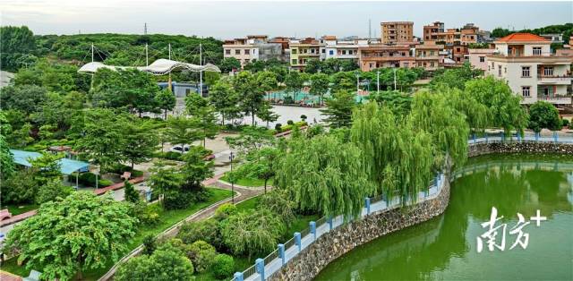 井美村;东坑供图 井美村;东坑供图
