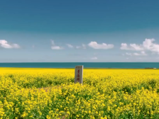 跟着总书记的考察足迹丨这就是青海湖